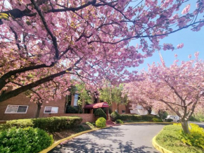 Modern 1br Retreat In Elkins Park - Long Term